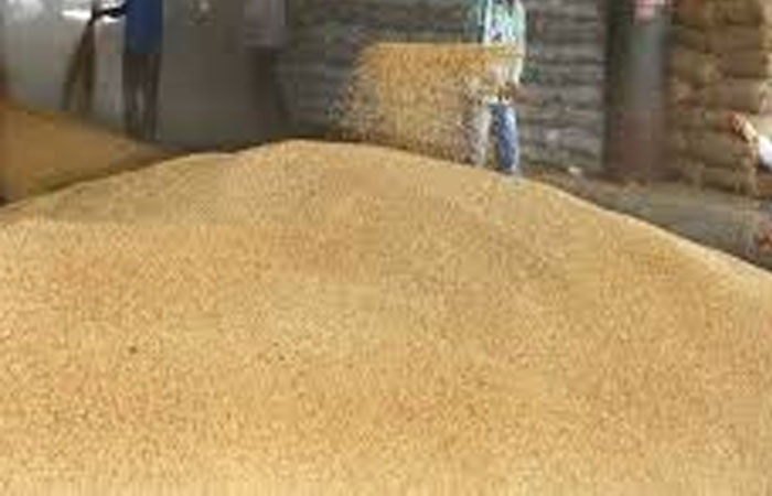 25 લાખ ટન ઘંઉની નિકાસની છૂટના પગલે ભાવ પ્રતિ મણ રૂ।. 600ને પાર 1 - image