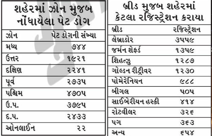 અમદાવાદમાં પેટ ડોગની રજિસ્ટ્રેશન ફી વધારીને રૂપિયા બે હજાર કરાઈ, જાણો કેટલા રજિસ્ટ્રેશન થયા 2 - image