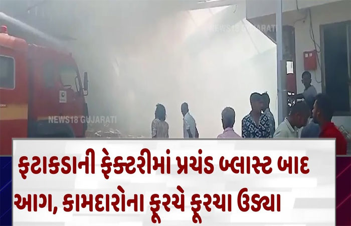 ફટાકડાની ફેક્ટરીમાં પ્રચંડ બ્લાસ્ટ સાથે ભીષણ આગ ભભુકી, શ્રમિકનું મોત 1 - image