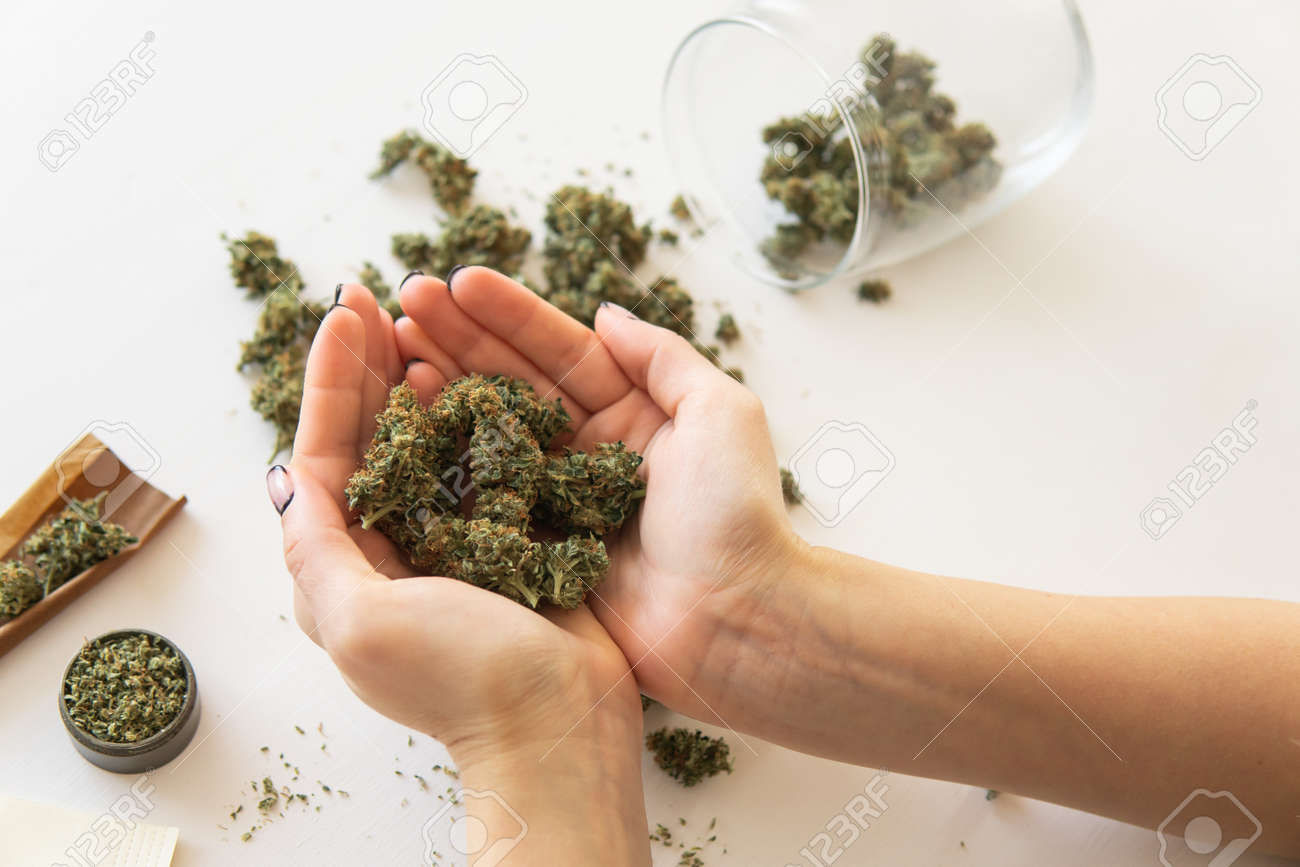 મુંબઈથી રૂ.78.39 લાખનો હાઈબ્રીડ ગાંજો લઈ આવેલા પાલીતાણાના બે યુવાન ઝડપાયા 2 - image