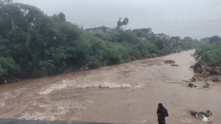 અમરેલીમાં અનરાધાર વરસાદ: ધોળાદ્રી નદીમાં આધેડ તણાયો, તાતણિયામાં પૂર આવતા ખોડિયાર મંદિરમાં પાણી ઘૂસ્યું 4 - image