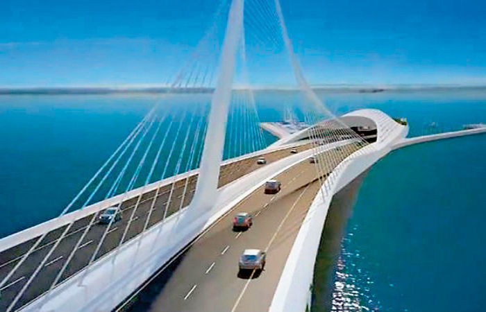 CSK ટીમ પર પ્રતિબંધ મૂકવા માગ 2 - image