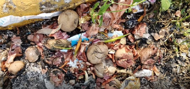 છોટાઉદેપુરની શાળામાં ફૂડ પોઇઝનિંગ? અચાનક 18થી વધુ બાળકોની તબિયત લથડી, ફૂડ વિભાગમાં દોડધામ 2 - image