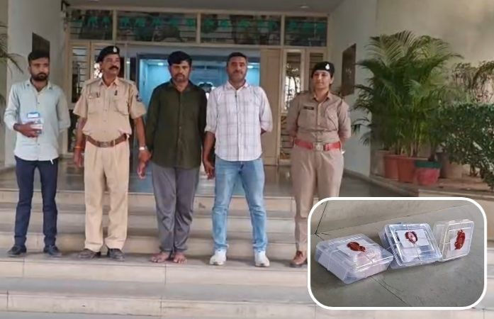 From Fields to Felonies