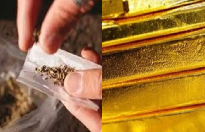 Gold, hydroponic drugs seized from Ahmedabad airport from two different passengers