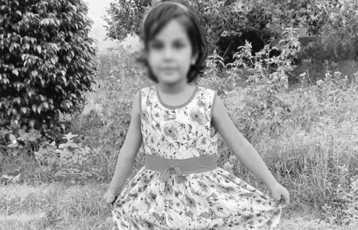 ખુશીઓ માતમમાં ફેરવાઈ, ડીજે પર નાચતા યુવકે પિસ્તોલ લહેરાવી ફાયરિંગ કરતાં બાળકીનું મોત 1 - image