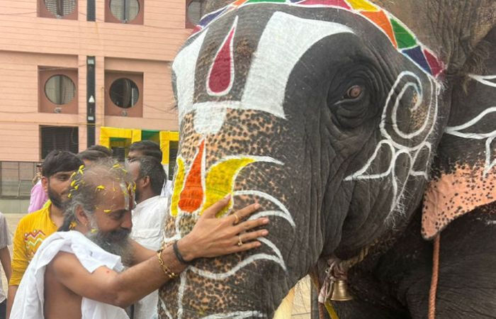 Different Elephants Jagannath temple Mahant responds to viral beating video