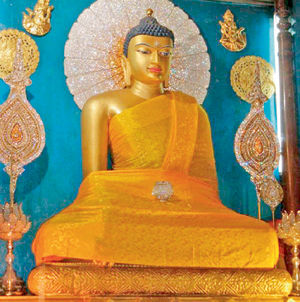 અવાજ સાંભળવામાં ઉસ્તાદ પ્રાણીઓ 6 - image