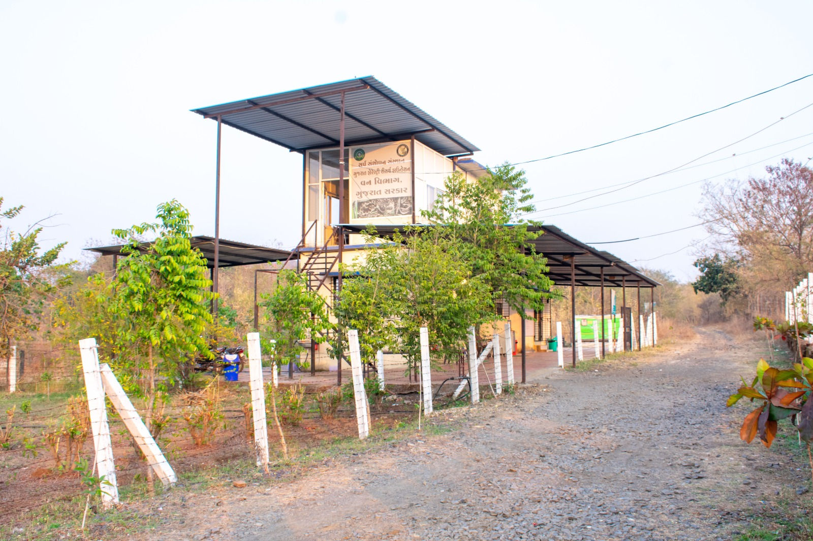 ઝેરનું મારણ 'ગુજરાતનું' ઝેર: હવે રાજ્યના ઝેરી સાપોમાંથી જ બનશે સર્પદંશ વિરોધી રસી, ધરમપુરની SRI દેશની બીજી એવી સંસ્થા 2 - image