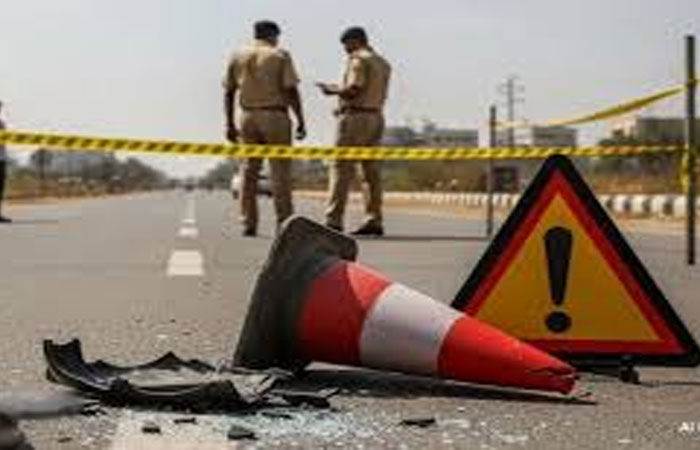 ફલ્લા ગામની ગોળાઇએ શાકભાજી ભરેલું વાહન નાલામાં પલ્ટી જતાં ચાલકનું મોત 1 - image