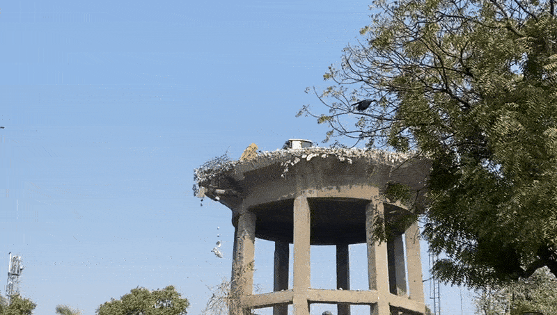 AI નહીં અસલી છે! અમદાવાદમાં પાણીની ટાંકી પર JCB જોઈ લોકો અવાચક, એન્જિનિયરિંગ 'જુગાડ' કે સ્માર્ટ વર્ક? 2 - image