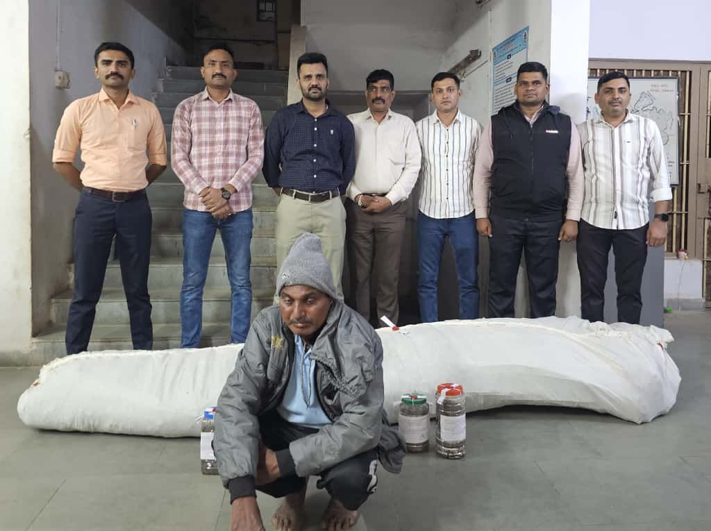 પંચમહાલ: શહેરાના બોરીયા ગામેથી રૂ. 32 લાખથી વધુનો લીલો ગાંજો ઝડપાયો, એકની ધરપકડ 2 - image