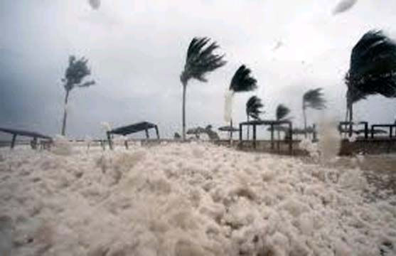 વાવાઝોડું મોન્થા ઃ ઓડિશામાં સરકારી અધિકારીઓની રજાઓ રદ 1 - image