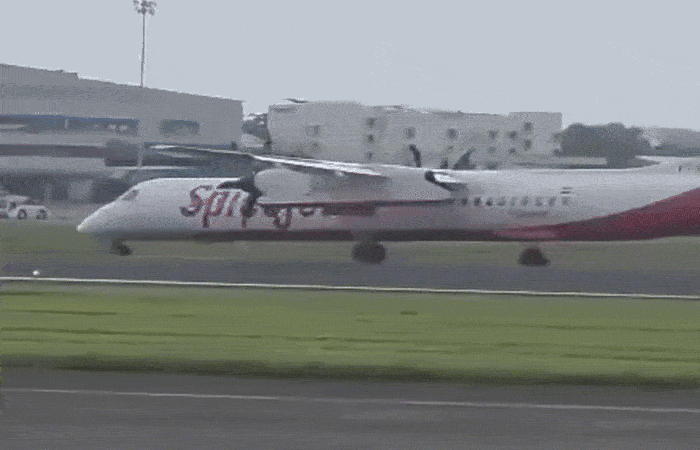 VIDEO: કંડલાથી મુંબઈ જતી સ્પાઇસજેટની ફ્લાઈટનું વ્હીલ તૂટીને નીચે પડ્યું, સદનસીબે સુરક્ષિત લેન્ડિંગ 2 - image