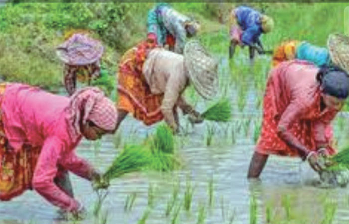 એશિયામાં અલ્પવર્ષા-યુગની શરૂઆત થઈ છે 1 - image