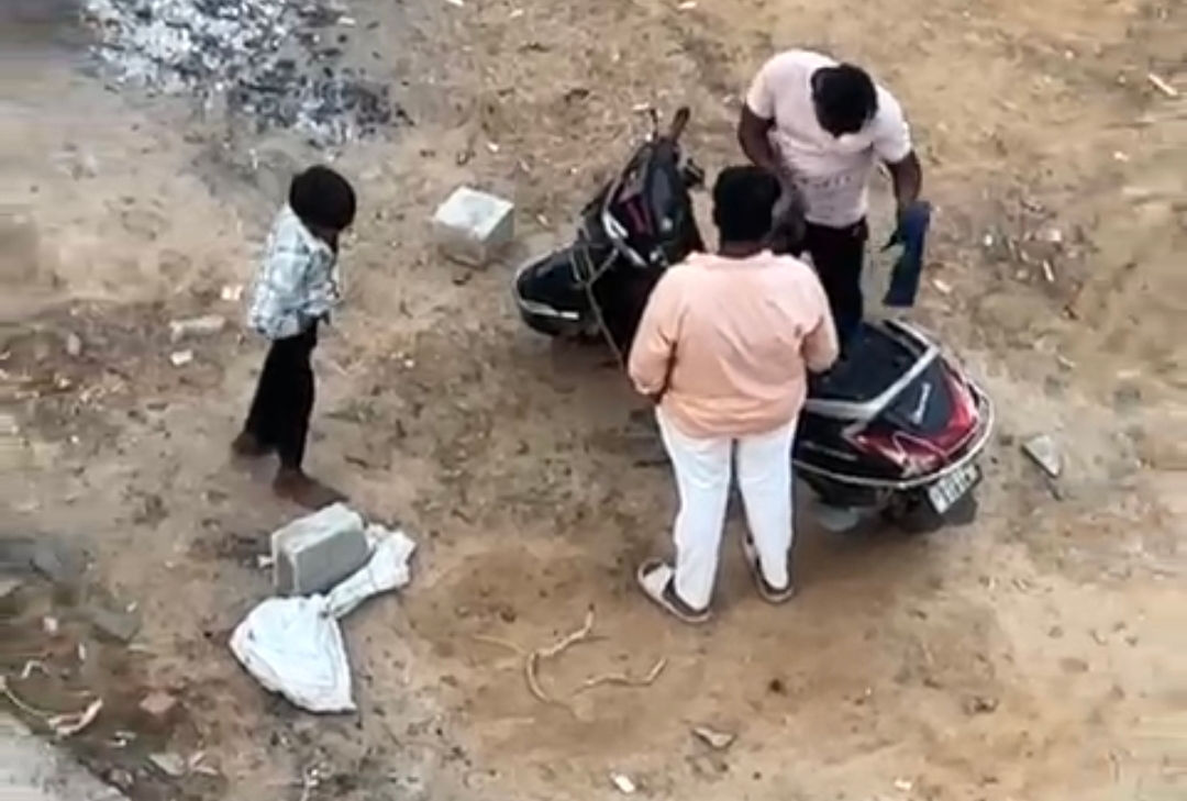 Man held for brutally killing cat in Ahmedabad, police act on viral video