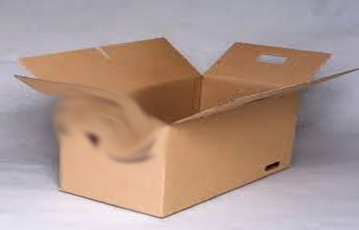 16 લાખમાં મેડિકલ મશીન મગાવ્યું પેકિંગમાંથી પ્લાયવુડ અને પુંઠાં જ નીકળ્યા 1 - image