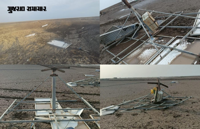 સુરેન્દ્રનગર પર આકાશી આફત: રણમાં અગરિયાઓના ઝુંપડા ઉડ્યા, ખેતરોમાં સોના જેવો પાક જમીનદોસ્ત, જગતનો તાત બેહાલ 2 - image