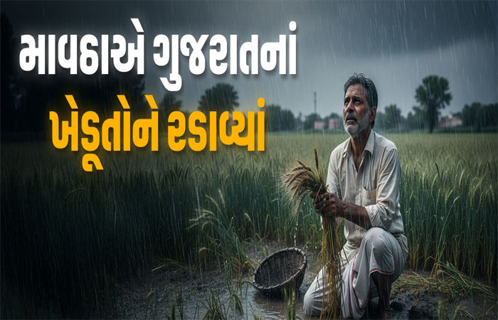 મહુવા પંથકના અસરગ્રસ્ત ખેડૂતોને વળતર ચૂકવવામાં વિલંબ કરાતા રોષ 1 - image