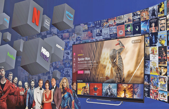 સરવૈયું 2025 : ઓટીટીના ઉતાર-ચઢાવ 1 - image