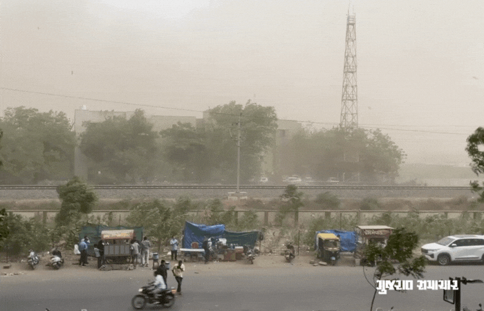 Unseasonal thunderstorm leaves 14 dead in Gujarat, rain to continue in 29 districts for 5 days