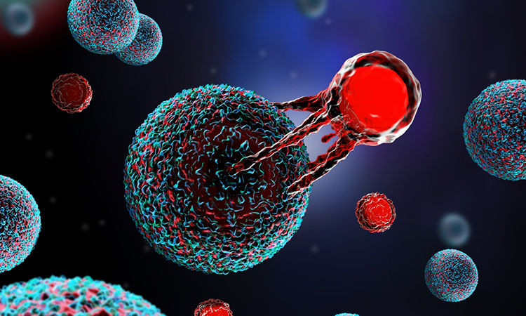 Novel CAR-T therapy shows promise against hard-to-treat cancer