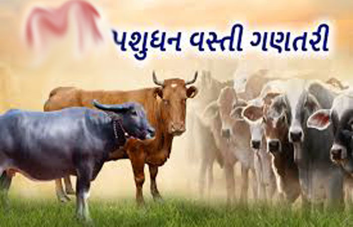 છેલ્લી પશુ વસ્તી ગણતરી પ્રમાણે જિલલાના તળાજા તાલુકામાં હાઇએસ્ટ 1.78 લાખ પશુઓ 1 - image