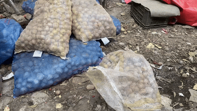 સડેલા બટાકા અને કાળું મેશ તેલ: પાણીપુરીનો ચટાકો પડશે ભારે, આ દૃશ્ય જોઈ લો 3 - image