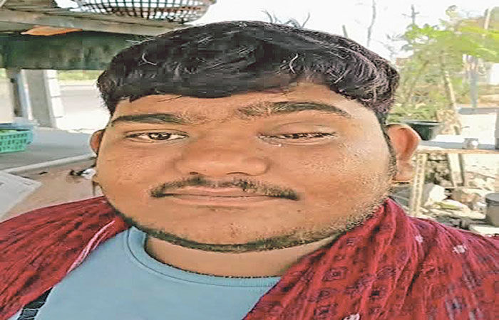 લખતરના કડુમાં ઝેરી મધમાખીનો આતંક - 10થી વધુ લોકોને ડંખ માર્યા 1 - image