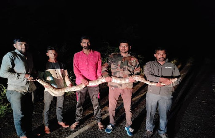 મગરોની સાથે સાથે હવે રસ્તા પર મહાકાય અજગર પણ વડોદરામાં દેખાવા માંડ્યા 1 - image
