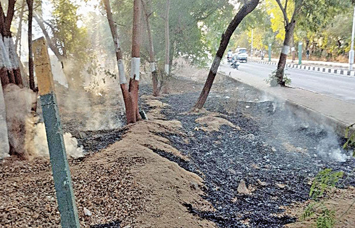 વન આરક્ષિત વિસ્તારમાં આગના બનાવોઃવનરાજીને વ્યાપક નુકશાન 1 - image