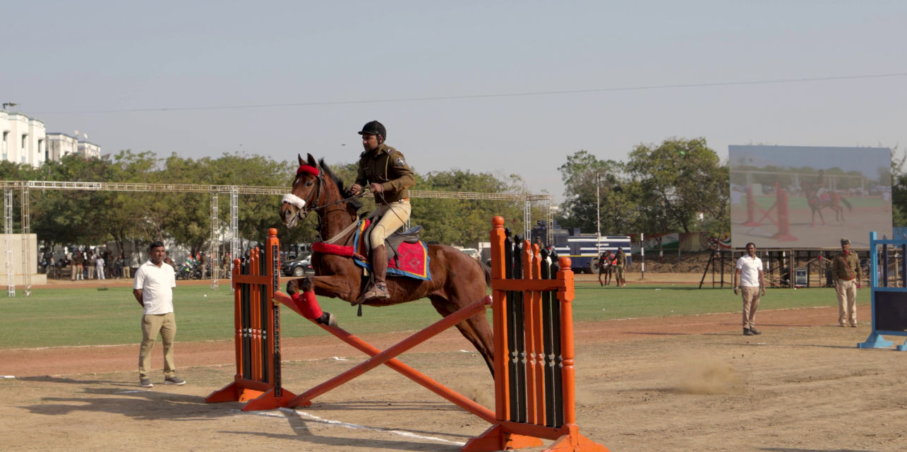 અમદાવાદ: પ્રજાસત્તાક પર્વની ઉજવણીમાં સમ્રાટ સહિતના અશ્વોના કરતબ આકર્ષણનું કેન્દ્ર બનશે, જુઓ તસવીરો 2 - image