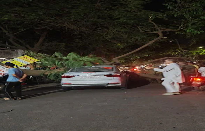 જામનગરમાં મિગ કોલોનીમાં ગઈકાલે સાંજે ભારે પવનના કારણે એક ઝાડ ધરાશાયી : કાર અને સ્કૂટર દબાતાં બે વ્યક્તિ ઇજાગ્રસ્ત 1 - image