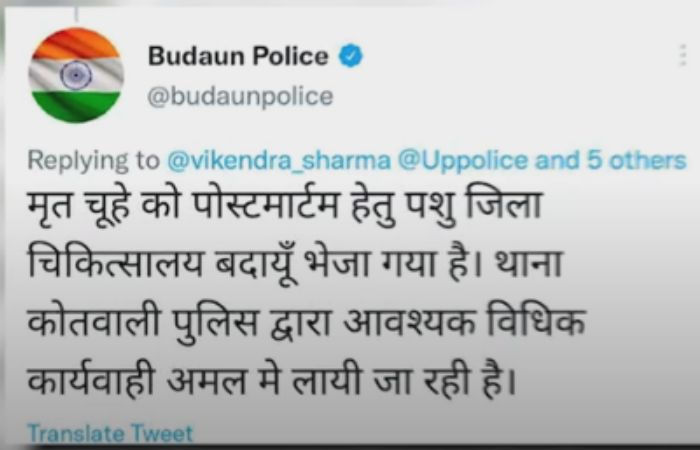 पानी में डूबकर मरा चूहा, पुलिस में मामला दर्ज, मौत के कारणों का पता चलेगा  पीएम – News India Live,Times Now Live