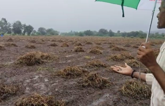 Video: અમરેલી પર વરસાદી આફત! બે સગર્ભાને JCB-બોટમાં લઈ જવાઈ, રાજુલામાં 50 લોકોનો બચાવ, સર્વત્ર પાણી જ પાણી 4 - image