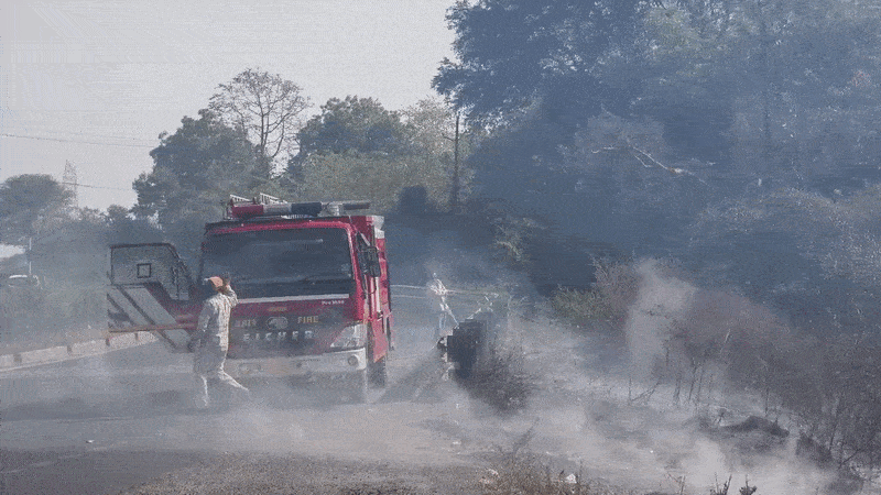 પંચમહાલ: શહેરાના પાલીખંડા રોડ પર ખેતરમાં ભીષણ આગ, કાળઝાળ ગરમી વચ્ચે પાક બળીને ખાખ 2 - image