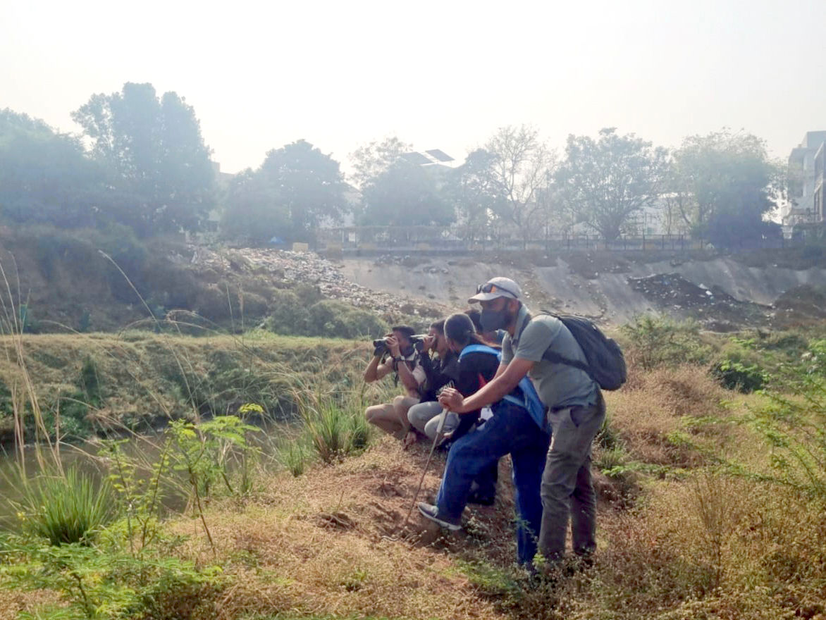 વિશ્વામિત્રીના 17 કિમી એરિયામાં મગરોની બે તબક્કામાં ગણતરી કરાઇઃ 10 વર્ષમાં બમણી વસ્તી થવાની શક્યતા 1 - image