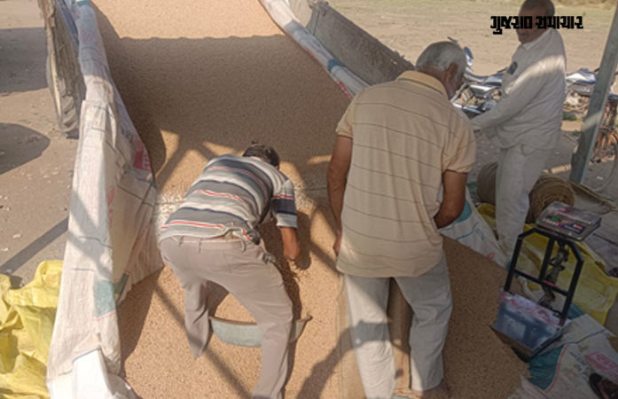 અમરેલીમાં આજથી ટેકાના ભાવે તુવેરની ખરીદીનો પ્રારંભ, રૂ.1600ના ભાવે વેચાતા ખેડૂતો ખુશખુશાલ 1 - image