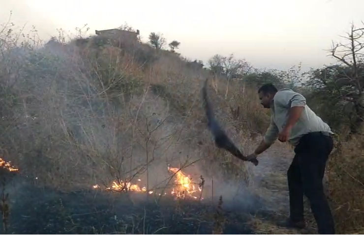 VIDEO: પાલીતાણાના ડુંગરો પર લાગેલી આગ 24 કલાક બાદ પણ બેકાબુ, દેશી પદ્ધતીથી ઓલવવાની કામગીરી 1 - image