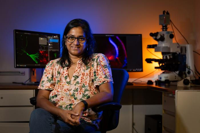 A team of researchers, led by Indian-origin neuroscientist Viji Santhakumar, has found a gene that contributes to the development of behavioural changes associated with autism spectrum disorder and epilepsy. 