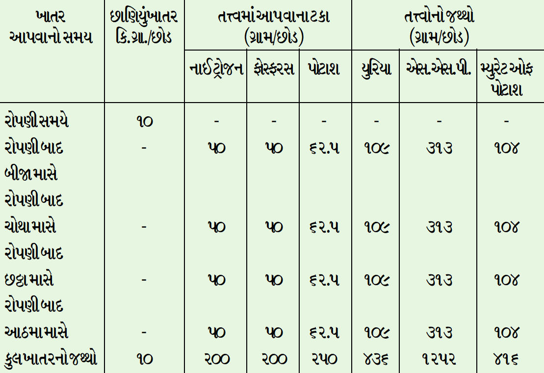 પપૈયાની ખેતી ભલે કરીએ પણ ઉતાવળે નહીં, ખેડૂતે જ મીઠાં મઘૂરાં પપૈયાનું વેચાણ કરવું રહ્યું 2 - image