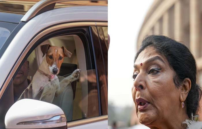 સંસદ બહાર સવાલ કરતા જ કોંગ્રેસના મહિલા સાંસદે કર્યું ‘ભાઉ ભાઉ’, જુઓ શું હતું કારણ 1 - image