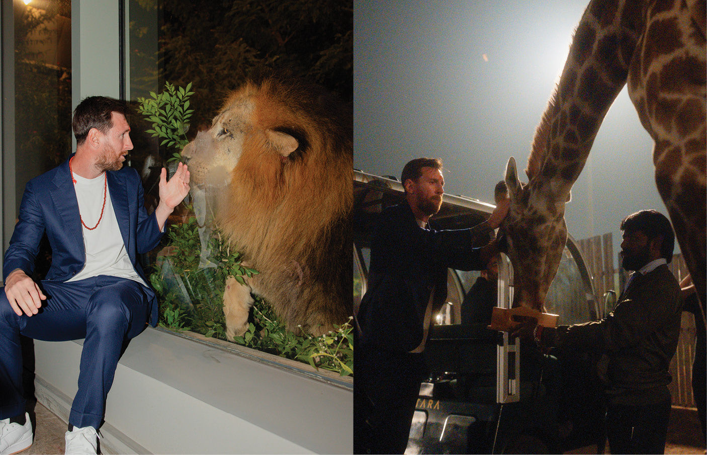 વનતારાની યાત્રાથી લિયોનેલ મેસ્સી મંત્રમુગ્ધ, એક અવિસ્મરણિય અનુભવ 6 - image