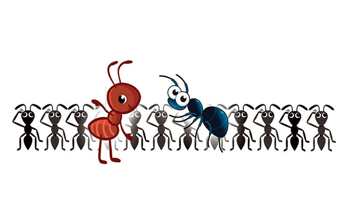 કીડીબાઈની આવી પરીક્ષા . 1 - image