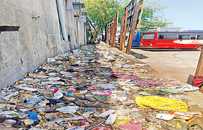 આણંદના નવા બસ સ્ટેન્ડમાં ઠેર ઠેર કચરાના ઢગલાં 1 - image