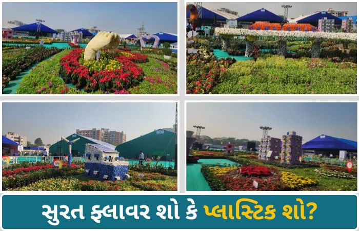 સુરત ફ્લાવર શો: અમદાવાદની નબળી કોપી કર્યાનો આક્ષેપ, મેટ્રોની કૃતિ જોઈ સુરતીઓએ ઉડાવી મજાક! 1 - image