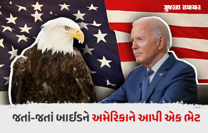 આખરે અમેરિકાને મળ્યું એનું રાષ્ટ્રીય પક્ષી, બાલ્ડ ઈગલને આ સન્માન આપવામાં કેમ 248 વર્ષ લાગ્યાં? 1 - image