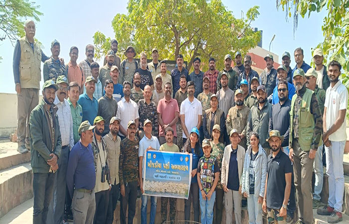 VIDEO | જામનગર: 'પક્ષીઓના સ્વર્ગ' ખીજડીયામાં પક્ષી ગણતરી, 12 ટીમોની વિશેષ કામગીરી, ઘાયલ પક્ષીઓનું કરાયું રેસ્ક્યુ 3 - image