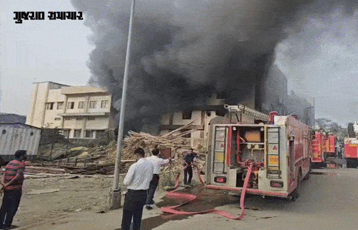 વાપીના વાઈબ્રન્ટ પાર્કની એક કંપનીમાં લાગી ભીષણ આગ, ફાયરની 8 ગાડી ઘટનાસ્થળે 1 - image