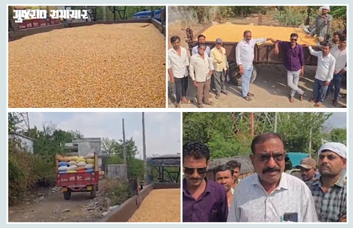 'સરકારને શક્તિ ન હોય તો ખેડૂતોને અવળે માર્ગે ના દોરે...' નસવાડી APMCમાં મકાઈ વેચવા આવેલા ખેડૂતોમાં રોષ 1 - image